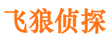 彭山侦探公司